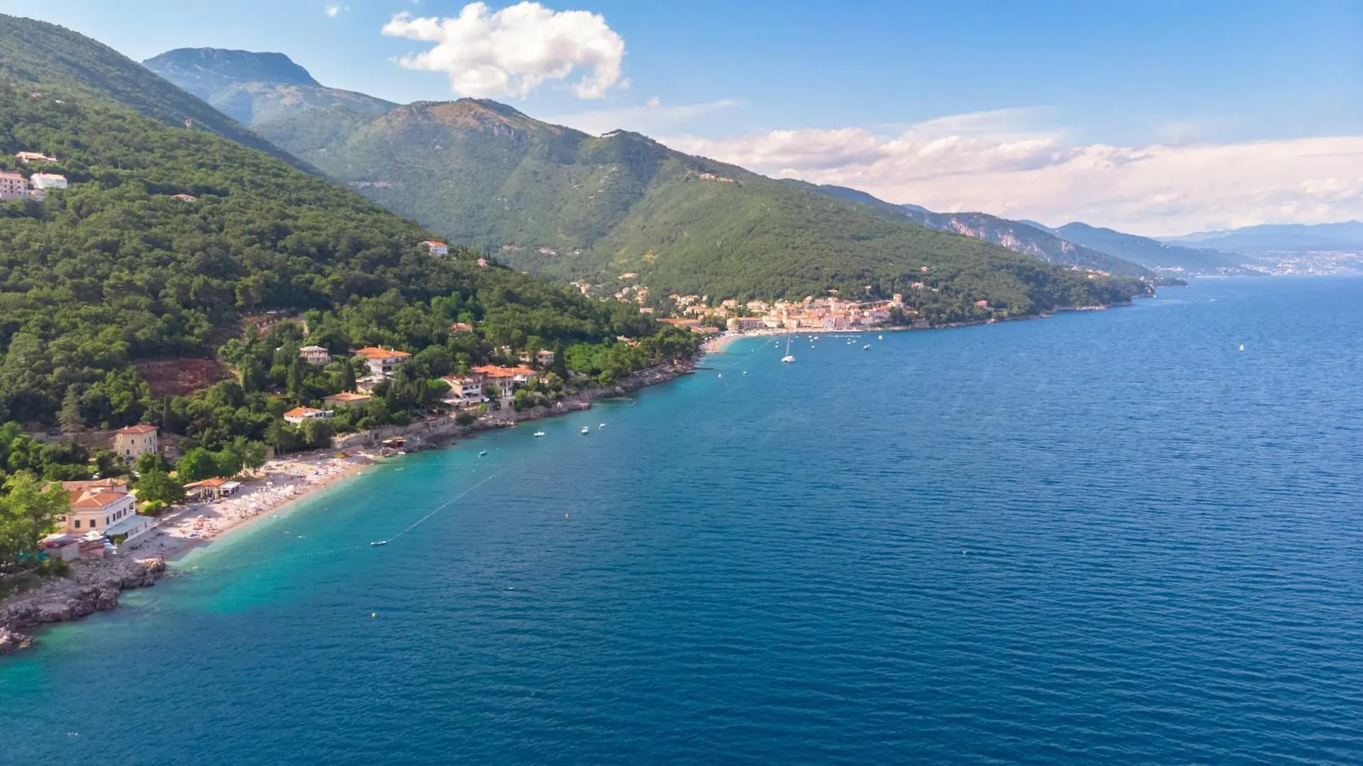 Apartment Frankovic Moscenicka Draga